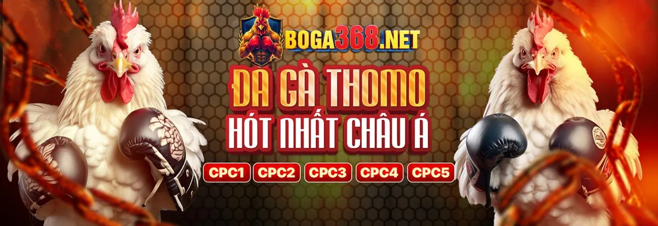 Cá cược có trách nhiệm Playzom
