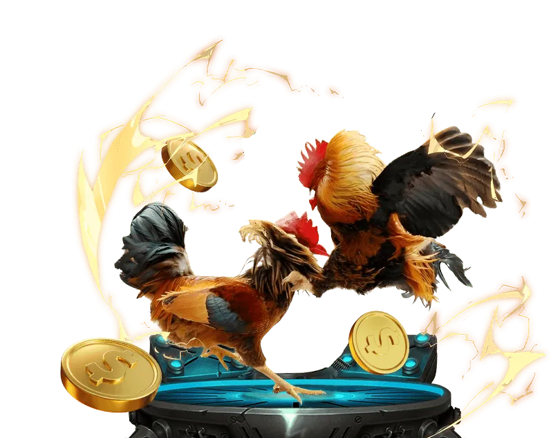 Đá Gà Trực Tuyến Playzom